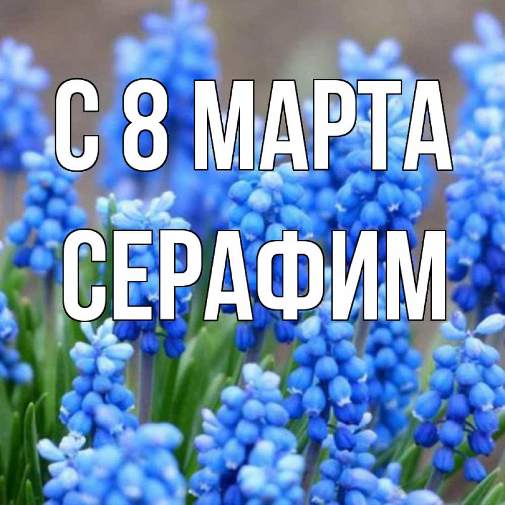 Открытка на каждый день с именем, Серафим С 8 МАРТА Поздравительная открытка для женщин с цветами на праздничную дату Прикольная открытка с пожеланием онлайн скачать бесплатно 