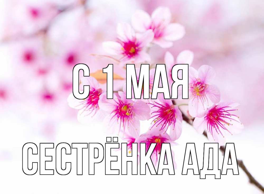 Открытка на каждый день с именем, Сестрёнка-Ада С 1 мая С 1 мая 2 Прикольная открытка с пожеланием онлайн скачать бесплатно 