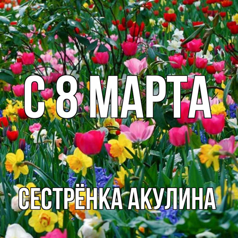 Открытка на каждый день с именем, Сестрёнка-Акулина С 8 МАРТА с международным женским днем поздравления для женщины Прикольная открытка с пожеланием онлайн скачать бесплатно 