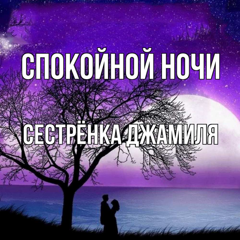 Открытка на каждый день с именем, Сестрёнка-Джамиля Спокойной ночи огромная луна и парочка Прикольная открытка с пожеланием онлайн скачать бесплатно 