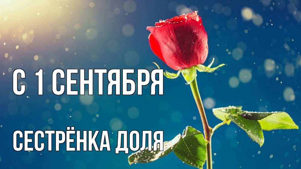 Открытка на каждый день с именем, Сестрёнка-Доля С 1 сентября с днем знаний Прикольная открытка с пожеланием онлайн скачать бесплатно 
