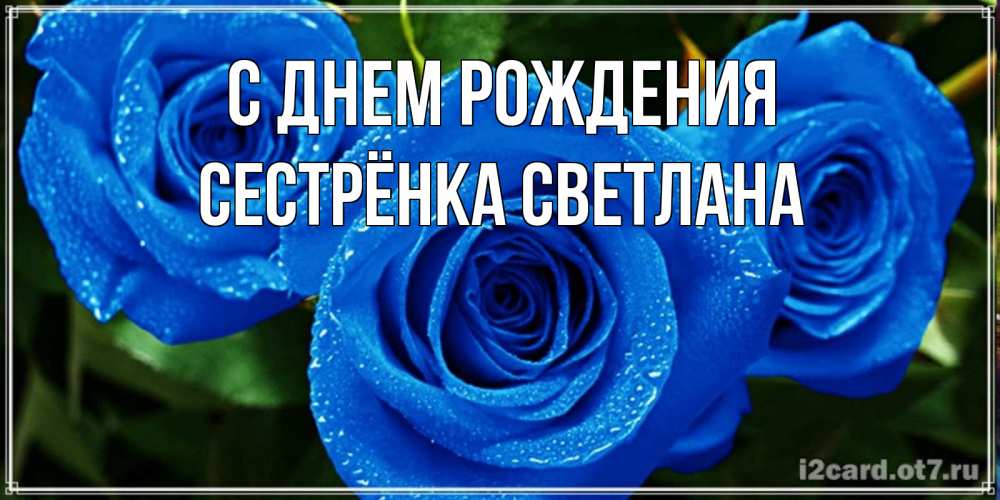 Открытка на каждый день с именем, Сестрёнка-Светлана С днем рождения розы с синим цветом Прикольная открытка с пожеланием онлайн скачать бесплатно 