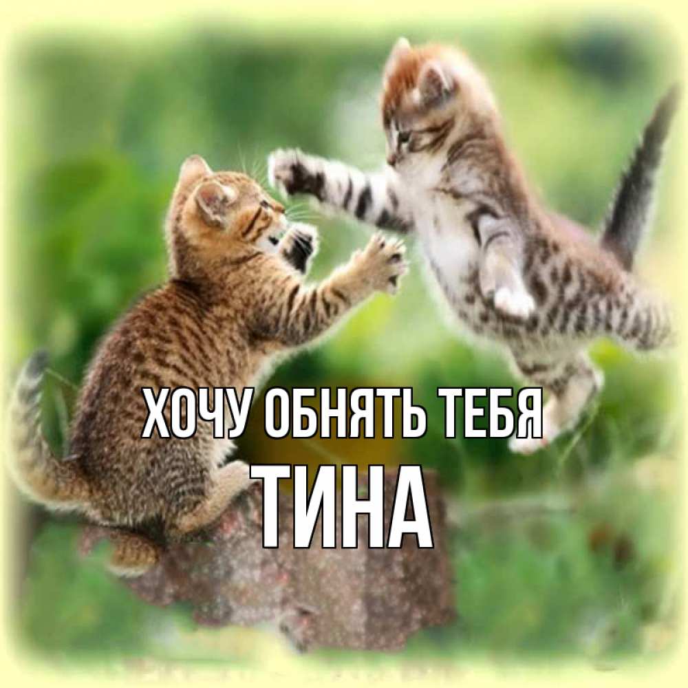 Открытка на каждый день с именем, Тина Хочу обнять тебя игры котят Прикольная открытка с пожеланием онлайн скачать бесплатно 