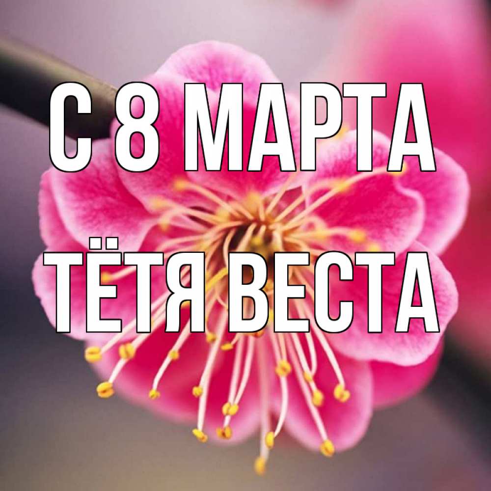 Открытка на каждый день с именем, Тётя-Веста С 8 марта цветы Прикольная открытка с пожеланием онлайн скачать бесплатно 