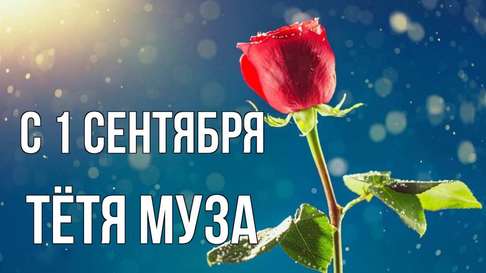 Открытка на каждый день с именем, Тётя-Муза С 1 сентября с днем знаний Прикольная открытка с пожеланием онлайн скачать бесплатно 