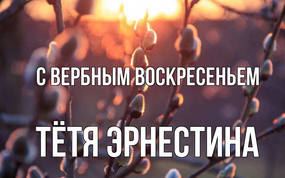 Открытка на каждый день с именем, Тётя-Эрнестина С вербным воскресеньем верба Прикольная открытка с пожеланием онлайн скачать бесплатно 