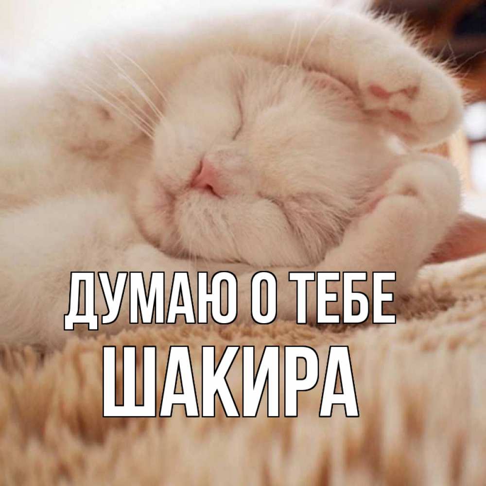 Открытка на каждый день с именем, Шакира Думаю о тебе для любимой девушки милота Прикольная открытка с пожеланием онлайн скачать бесплатно 