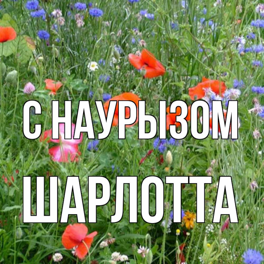 Открытка на каждый день с именем, Шарлотта С наурызом праздник весны наурыз супер открытка Прикольная открытка с пожеланием онлайн скачать бесплатно 