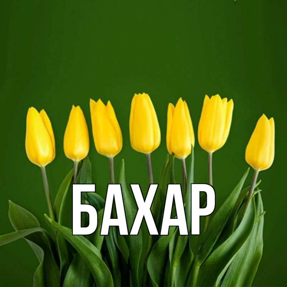Открытка на каждый день с именем, Бахар Главная желтого цвета 3 Прикольная открытка с пожеланием онлайн скачать бесплатно 