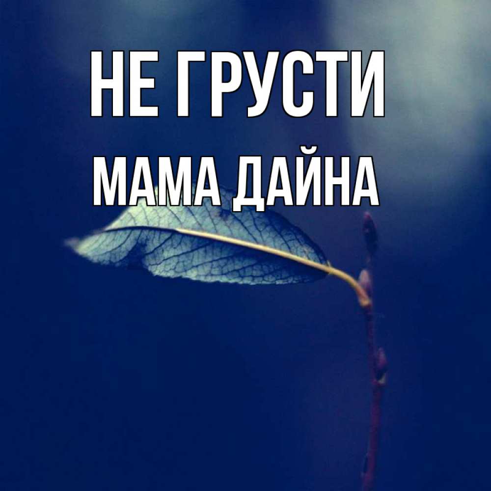 Открытка на каждый день с именем, Мама-Дайна Не грусти растение Прикольная открытка с пожеланием онлайн скачать бесплатно 