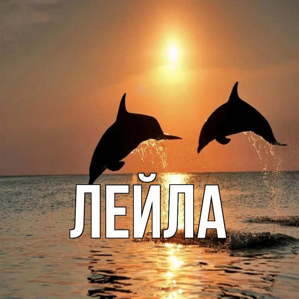 Открытки с дельфинами и с пожеланиями
