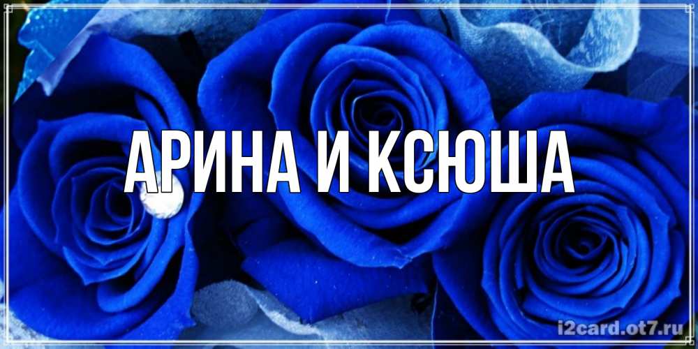 Открытка на каждый день с именем, Арина-и-Ксюша Главная синие розы в росе Прикольная открытка с пожеланием онлайн скачать бесплатно 