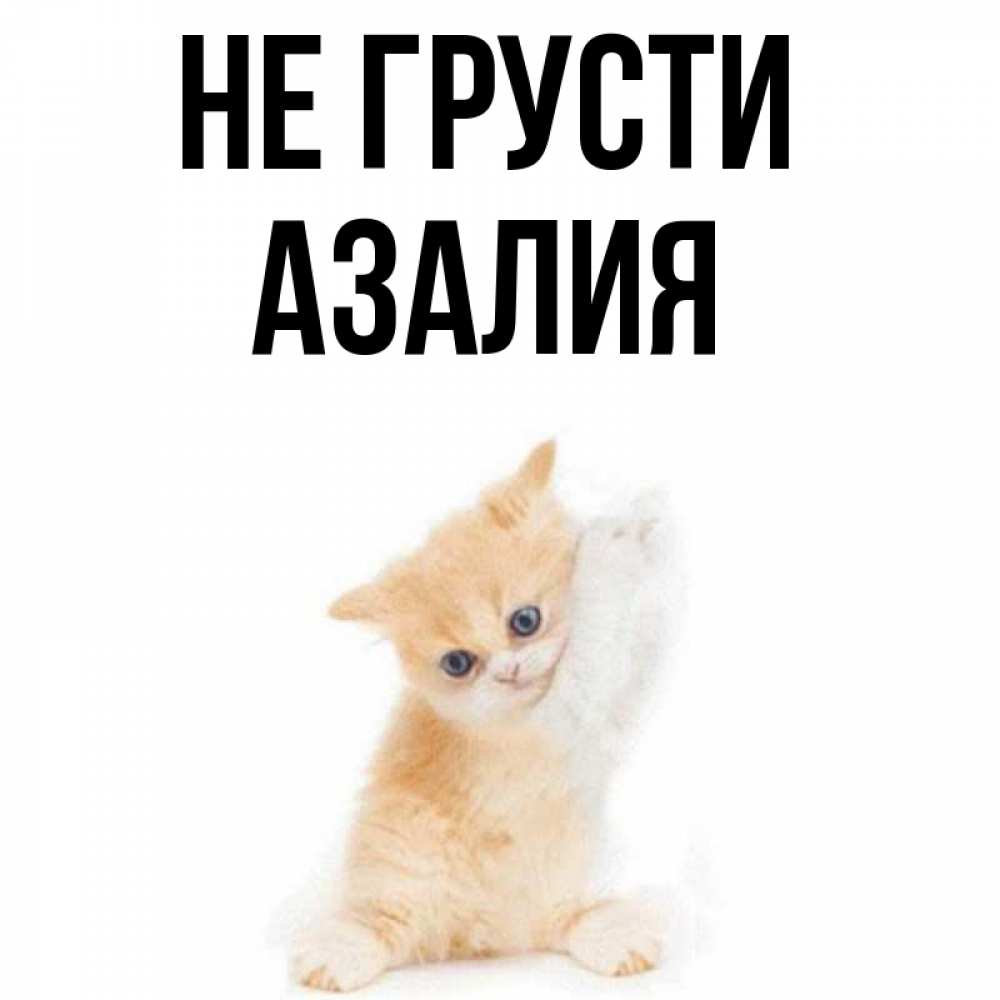 Картинки С Именем Азалия