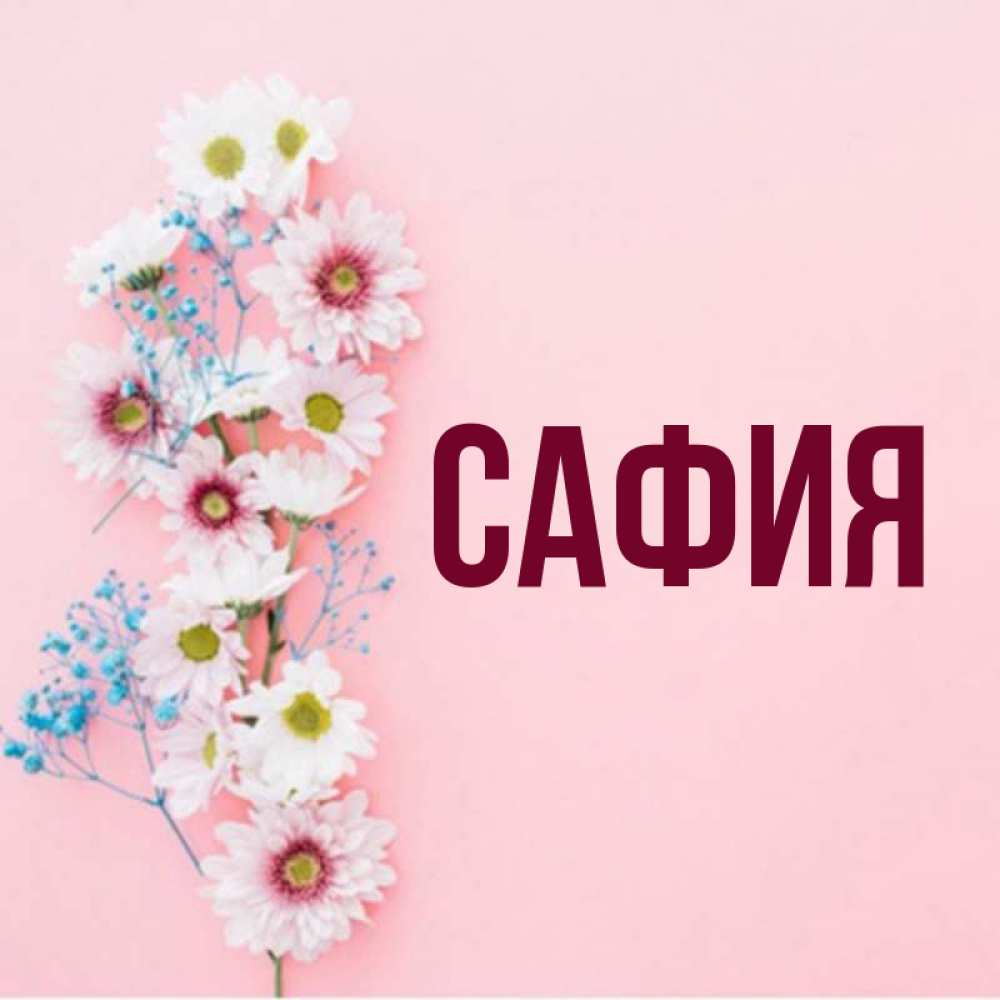 Имя сафия