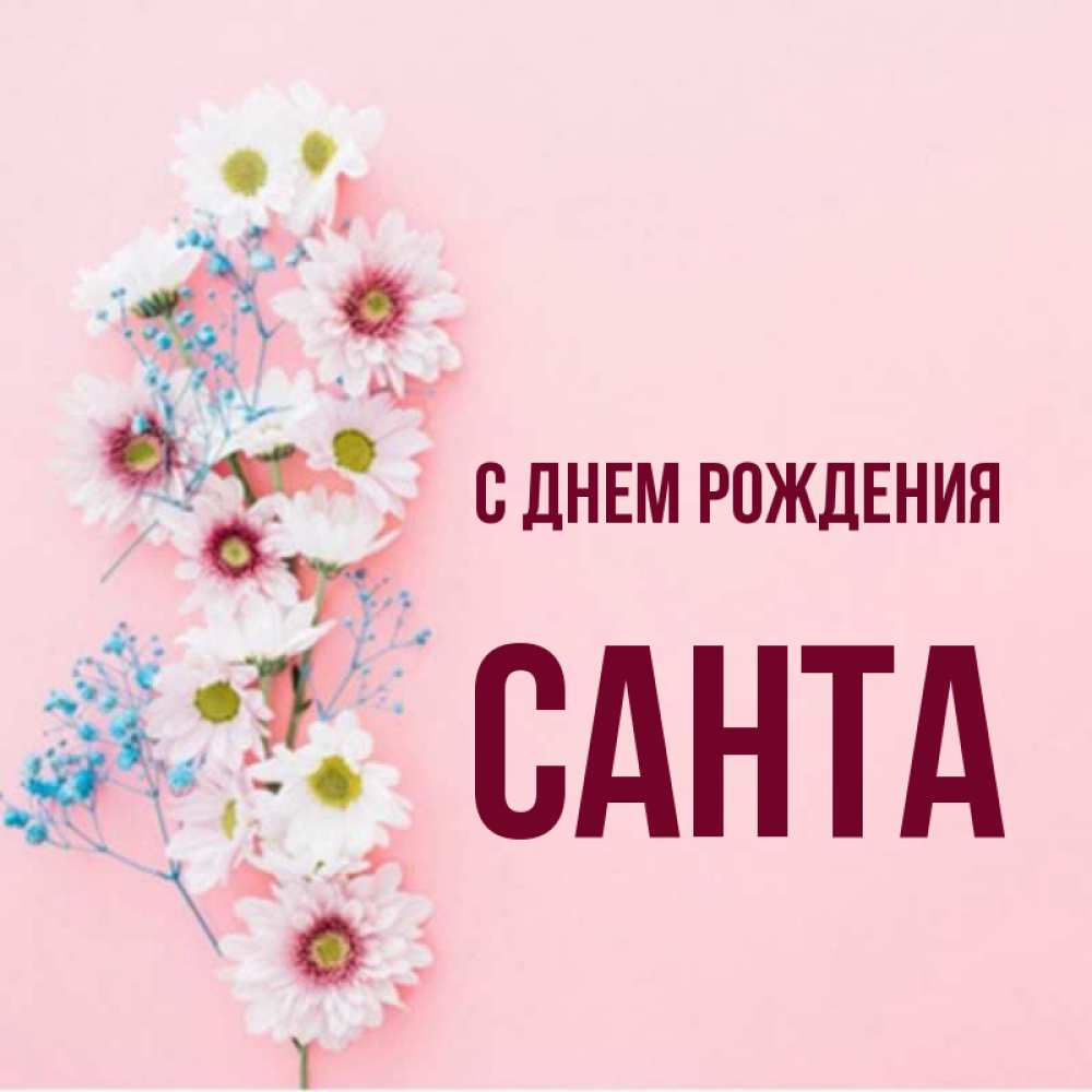 Открытка на каждый день с именем, Санта С днем рождения Родная моя с днем рождения тебя картинка с цветами белыми и голубыми Прикольная открытка с пожеланием онлайн скачать бесплатно 