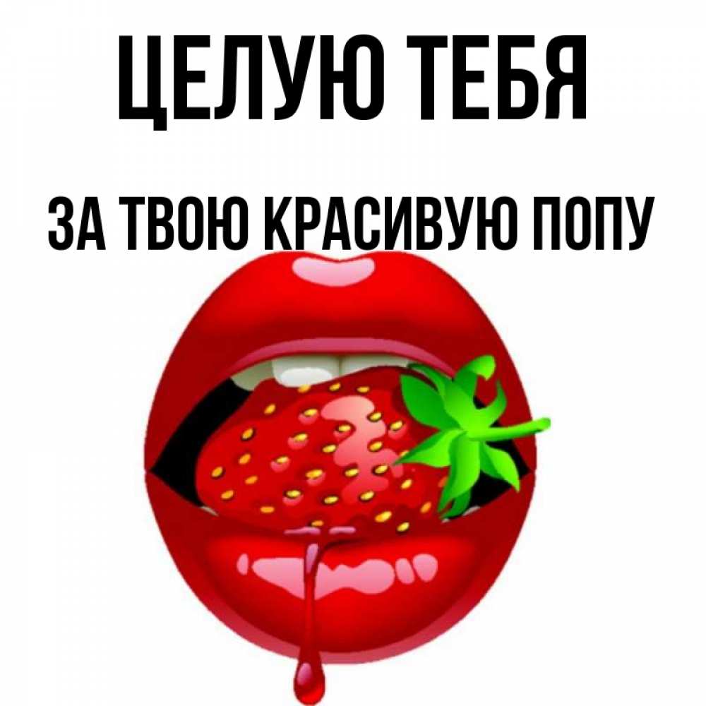 язык в попке 
