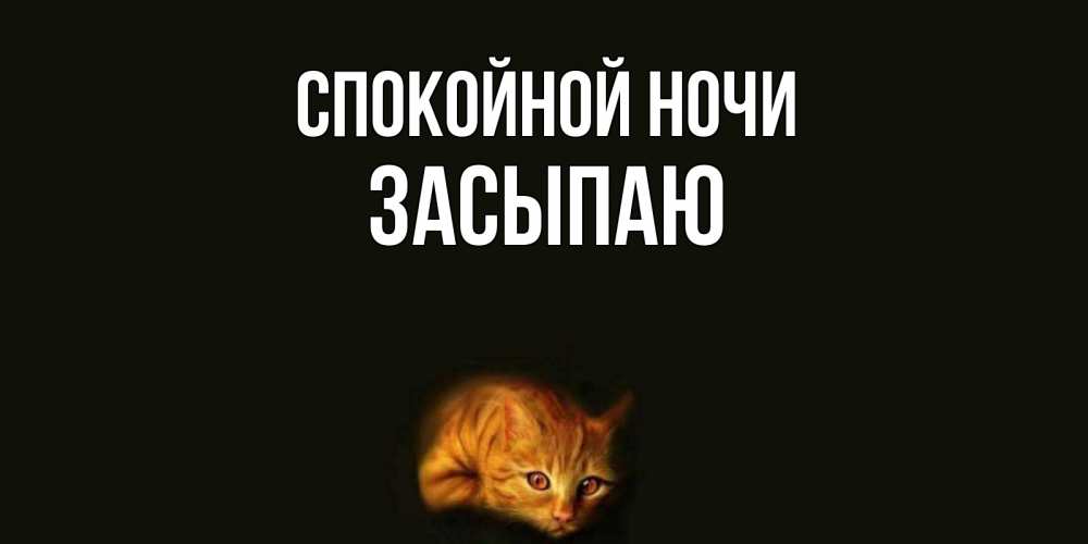 Открытка на каждый день с именем, Засыпаю Спокойной ночи кот Прикольная открытка с пожеланием онлайн скачать бесплатно 