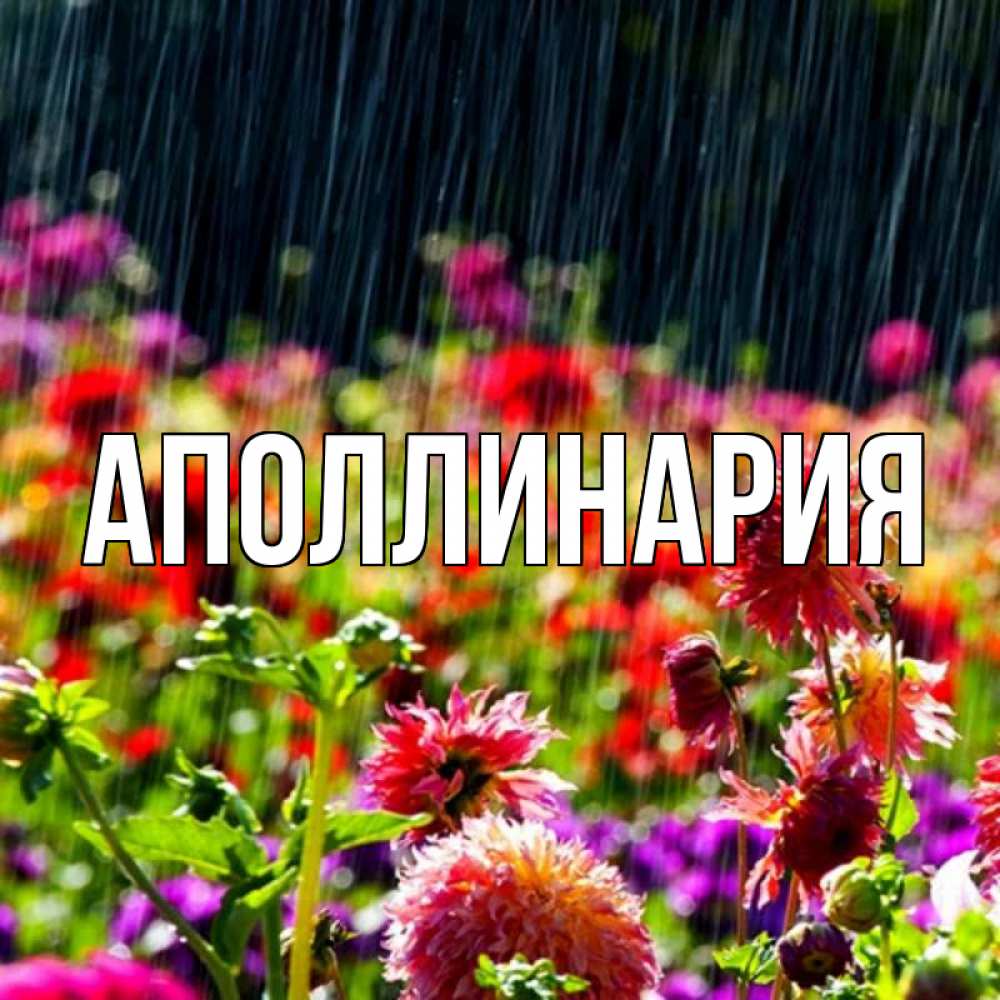 Открытка на каждый день с именем, Аполлинария Главная цветы под дождиком к международному женскому дню Прикольная открытка с пожеланием онлайн скачать бесплатно 
