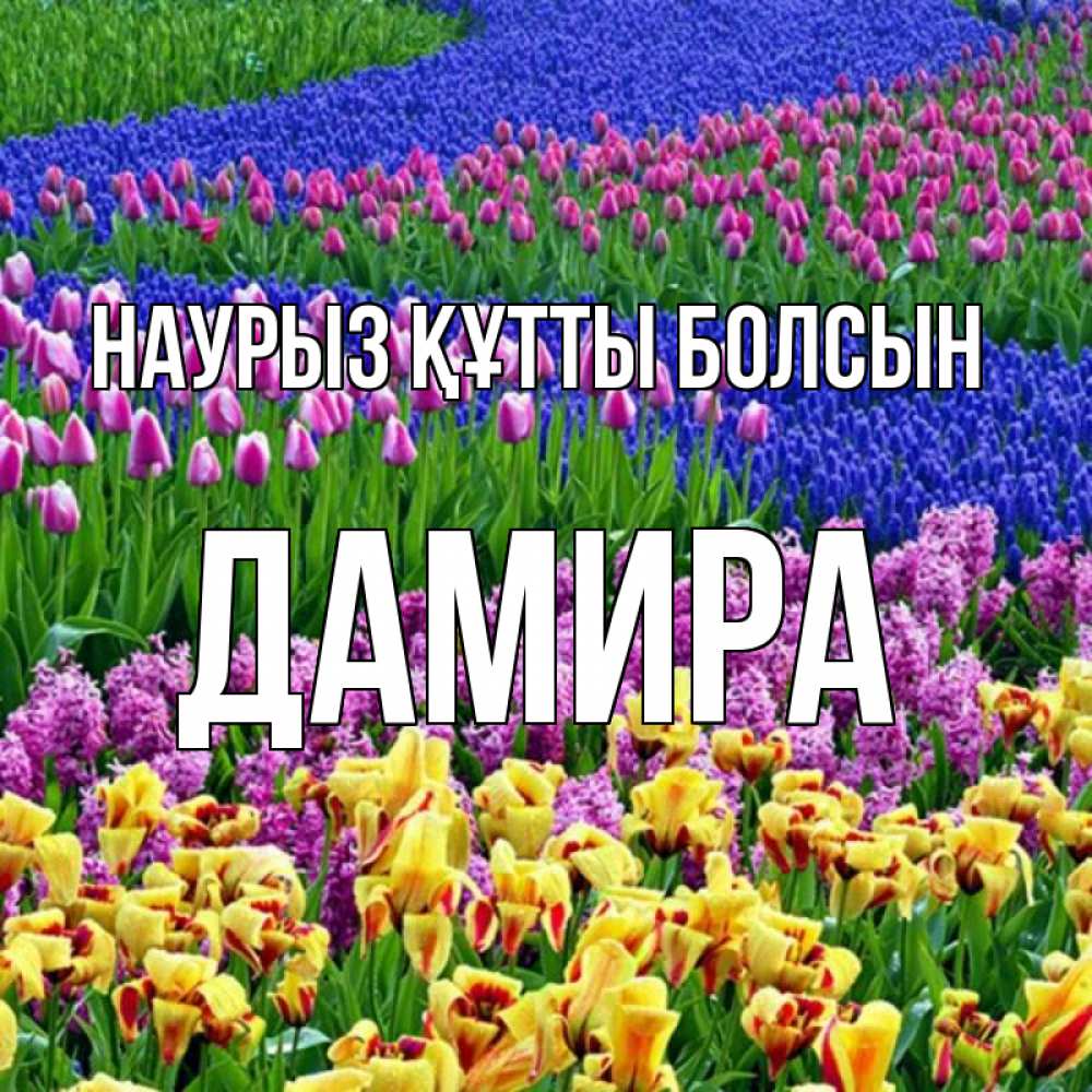 Открытка на каждый день с именем, Дамира Наурыз құтты болсын цветы Прикольная открытка с пожеланием онлайн скачать бесплатно 