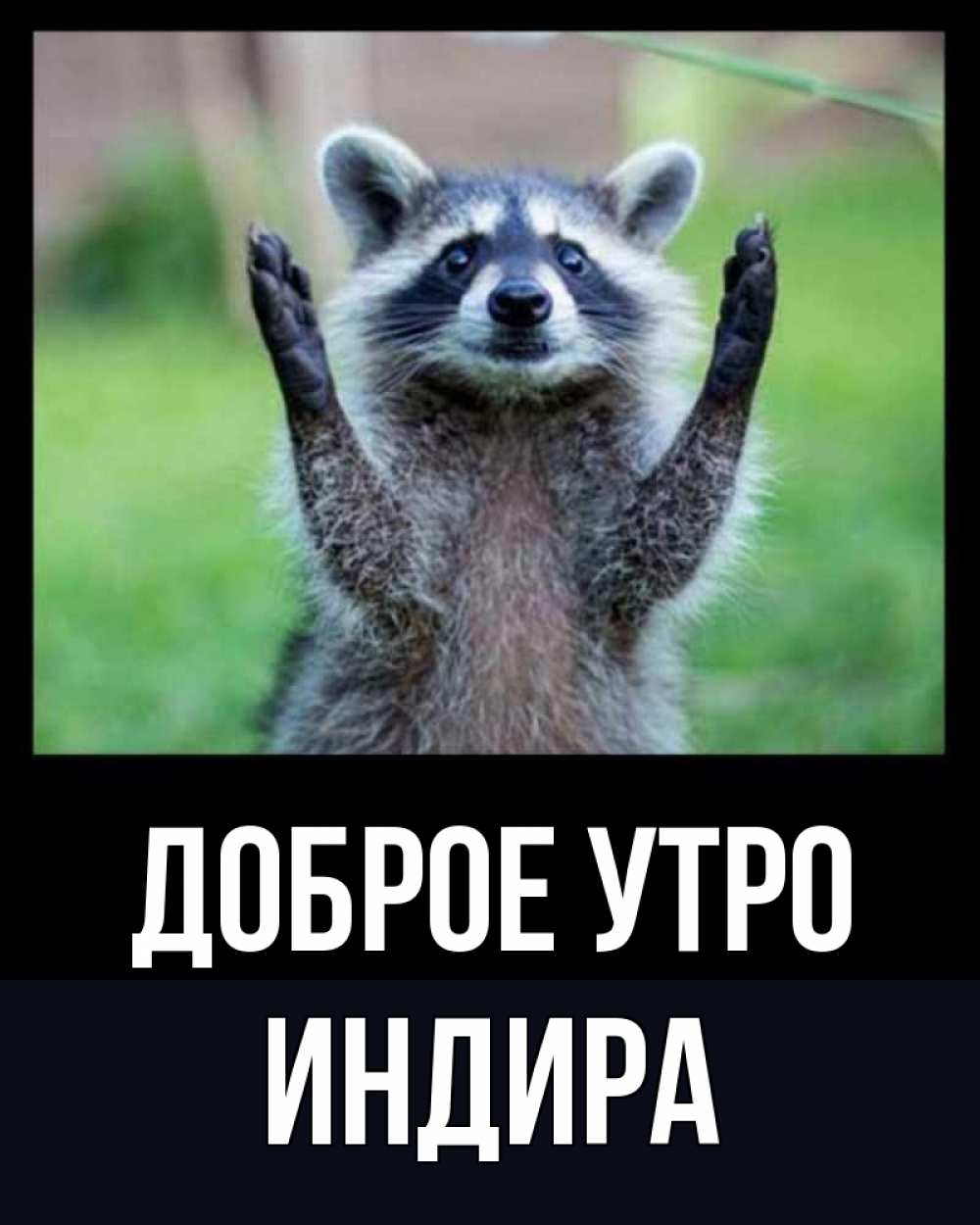 Открытка на каждый день с именем, Индира Доброе утро хорошее настроение утречком Прикольная открытка с пожеланием онлайн скачать бесплатно 