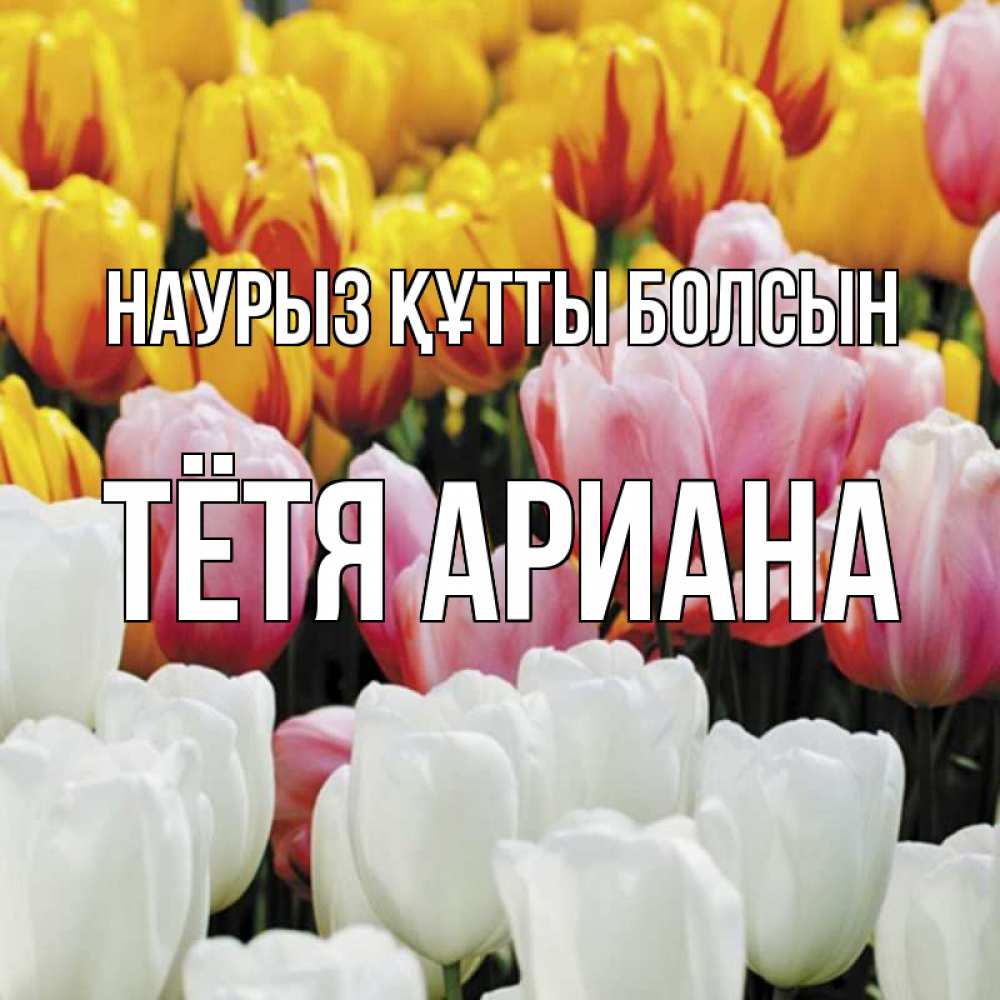 Открытка на каждый день с именем, Тётя-Ариана Наурыз құтты болсын разноцветные цветы Прикольная открытка с пожеланием онлайн скачать бесплатно 