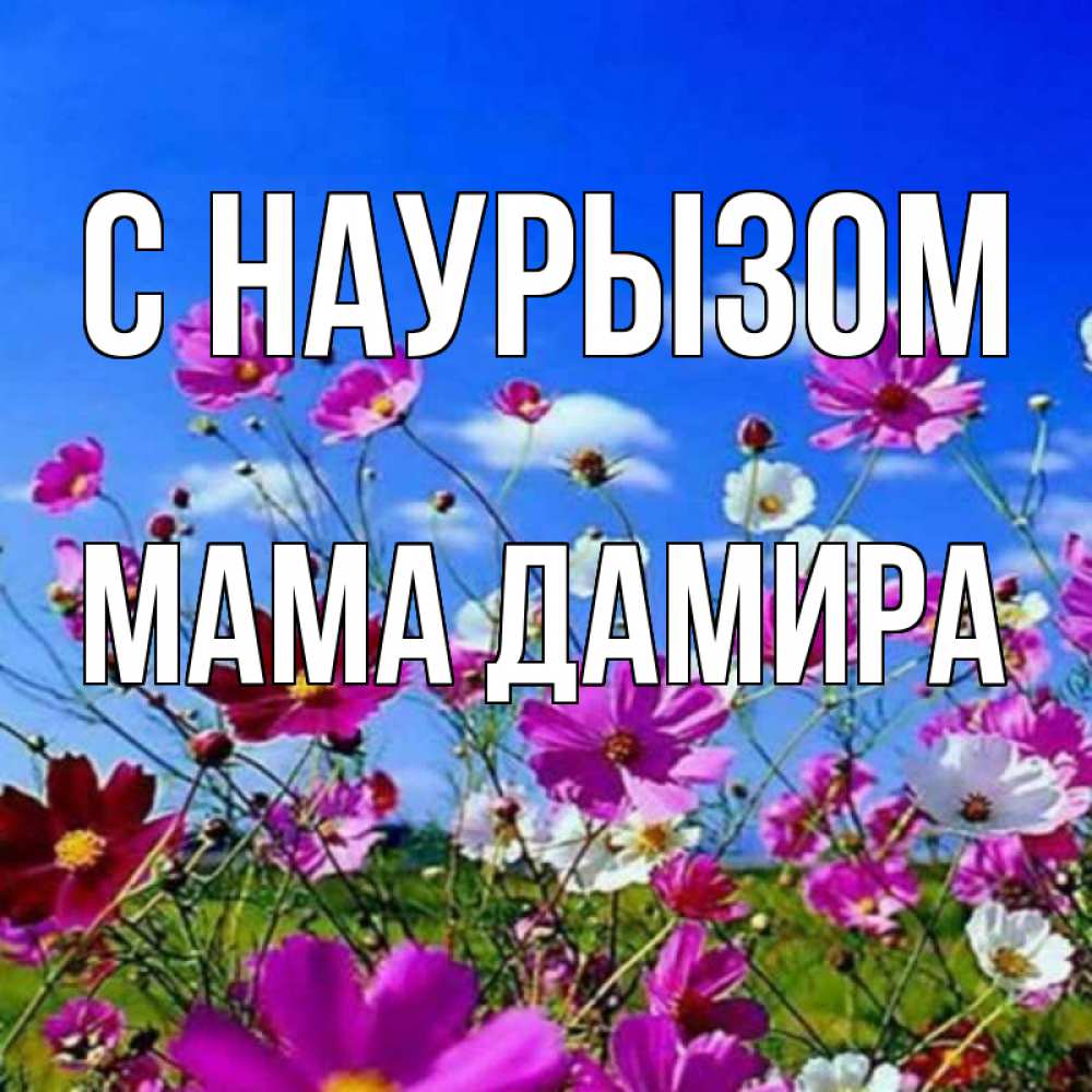 Открытка на каждый день с именем, Мама-Дамира С наурызом цветы Прикольная открытка с пожеланием онлайн скачать бесплатно 