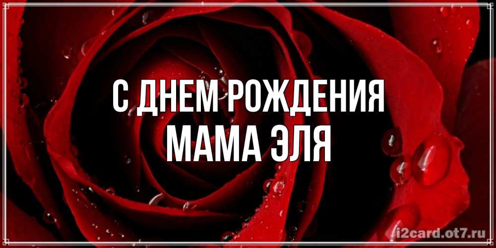 Открытка на каждый день с именем, Мама-Эля С днем рождения крупная бордовая роза Прикольная открытка с пожеланием онлайн скачать бесплатно 