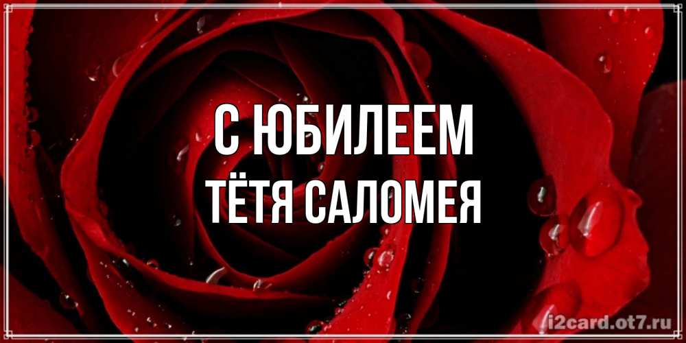 Открытка на каждый день с именем, Тётя-Саломея С юбилеем крупная бордовая роза Прикольная открытка с пожеланием онлайн скачать бесплатно 