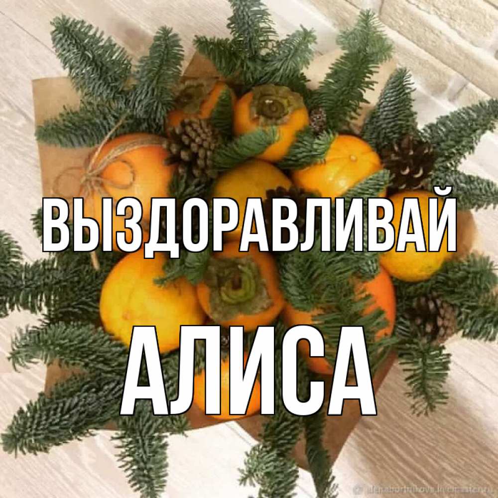 Открытка на каждый день с именем, Алиса Выздоравливай апельсины и хурьма Прикольная открытка с пожеланием онлайн скачать бесплатно 