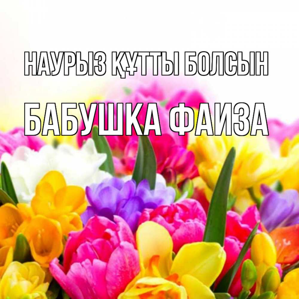 Открытка на каждый день с именем, Бабушка-Фаиза Наурыз құтты болсын тюльпаны Прикольная открытка с пожеланием онлайн скачать бесплатно 