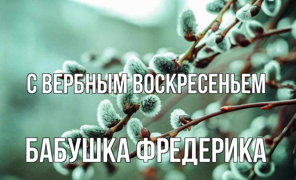 Открытка на каждый день с именем, Бабушка-Фредерика С вербным воскресеньем верба Прикольная открытка с пожеланием онлайн скачать бесплатно 