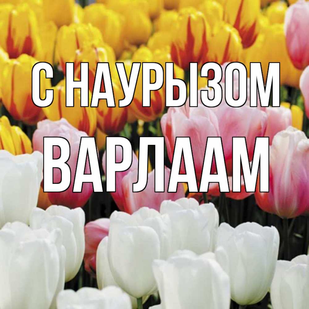 Открытка на каждый день с именем, Варлаам С наурызом разноцветные цветы Прикольная открытка с пожеланием онлайн скачать бесплатно 