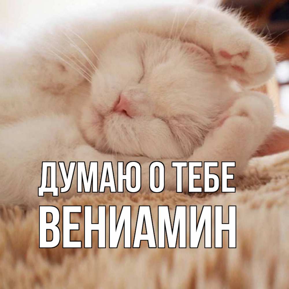 Открытка на каждый день с именем, Вениамин Думаю о тебе для любимой девушки милота Прикольная открытка с пожеланием онлайн скачать бесплатно 