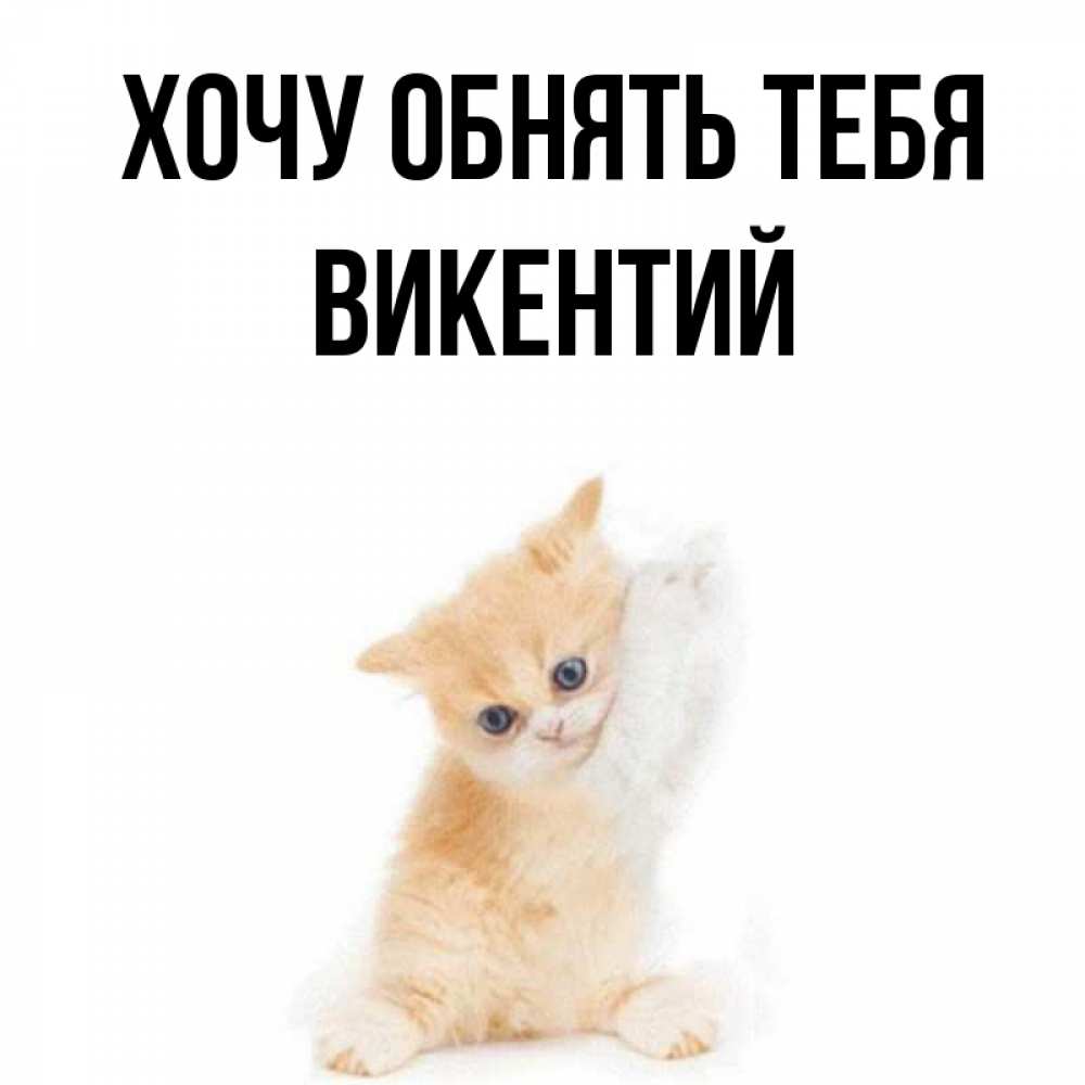 Открытка на каждый день с именем, Викентий Хочу обнять тебя я хочу очень скорее обнимаешек Прикольная открытка с пожеланием онлайн скачать бесплатно 