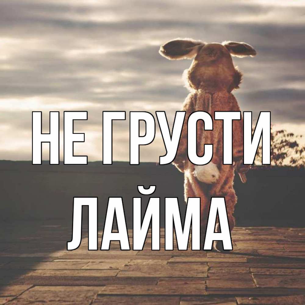 Открытка на каждый день с именем, Лайма Не грусти со спины Прикольная открытка с пожеланием онлайн скачать бесплатно 