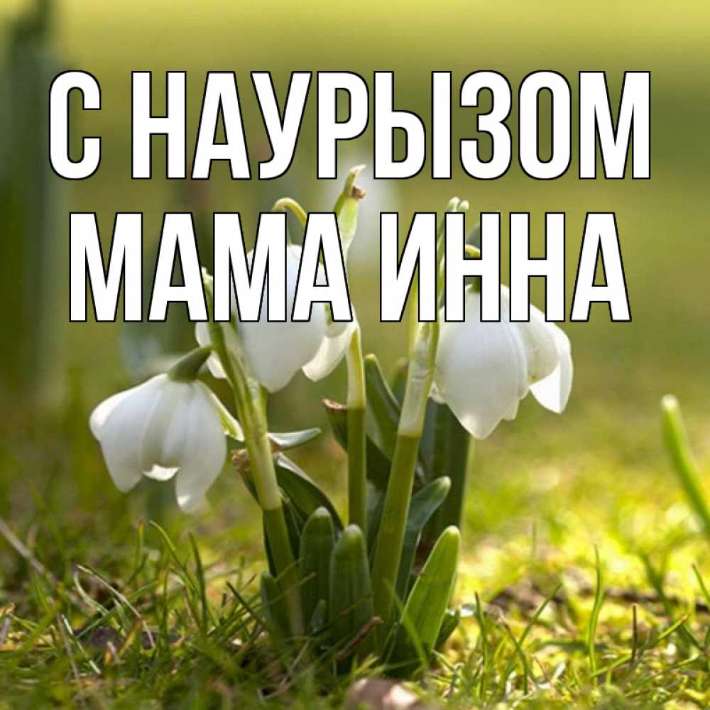 Открытка на каждый день с именем, Мама-Инна С наурызом ранние цветы 2 Прикольная открытка с пожеланием онлайн скачать бесплатно 