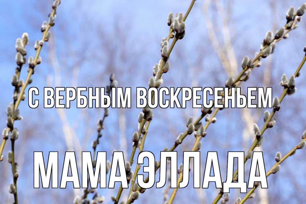 Открытка на каждый день с именем, Мама-Эллада С вербным воскресеньем верба Прикольная открытка с пожеланием онлайн скачать бесплатно 