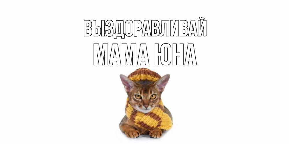 Открытка на каждый день с именем, Мама-Юна Выздоравливай родные не болейте Прикольная открытка с пожеланием онлайн скачать бесплатно 