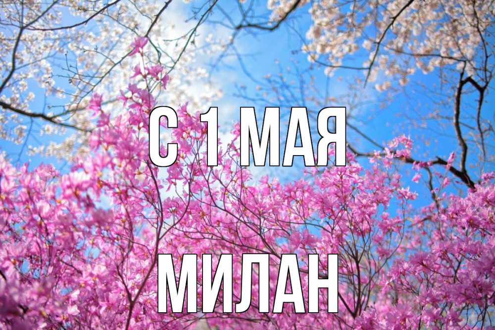 Открытка на каждый день с именем, Милан С 1 мая С 1 мая Прикольная открытка с пожеланием онлайн скачать бесплатно 