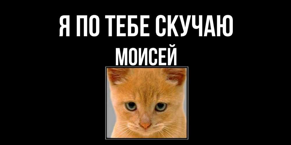 Открытка на каждый день с именем, Моисей Я по тебе скучаю открытки рыжий котенок скучает по тебе Прикольная открытка с пожеланием онлайн скачать бесплатно 