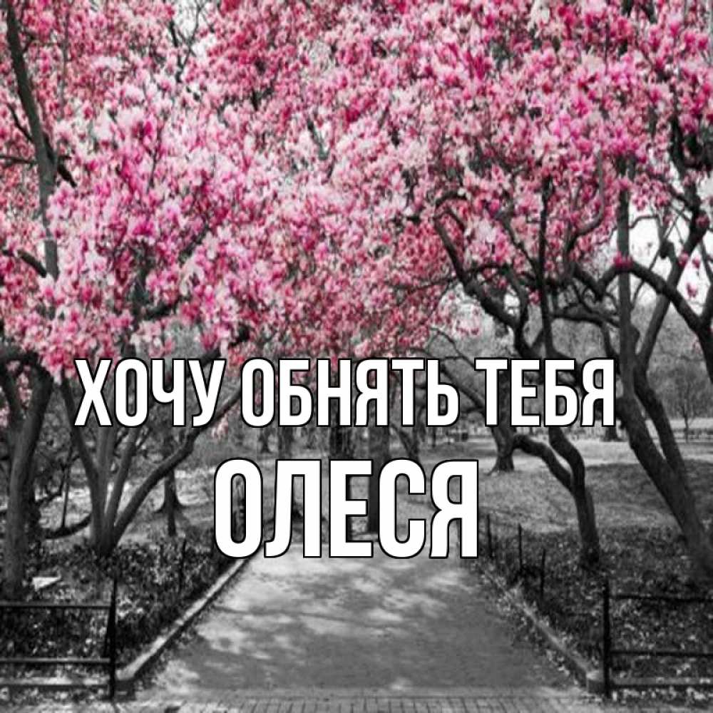 Открытка на каждый день с именем, Олеся Хочу обнять тебя обработанное фото Прикольная открытка с пожеланием онлайн скачать бесплатно 