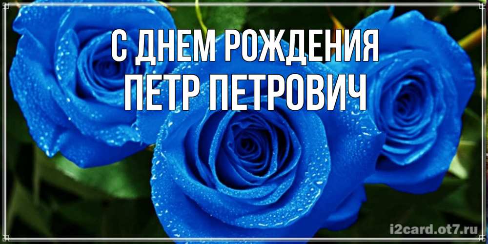 Открытка на каждый день с именем, Петр-Петрович С днем рождения розы с синим цветом Прикольная открытка с пожеланием онлайн скачать бесплатно 