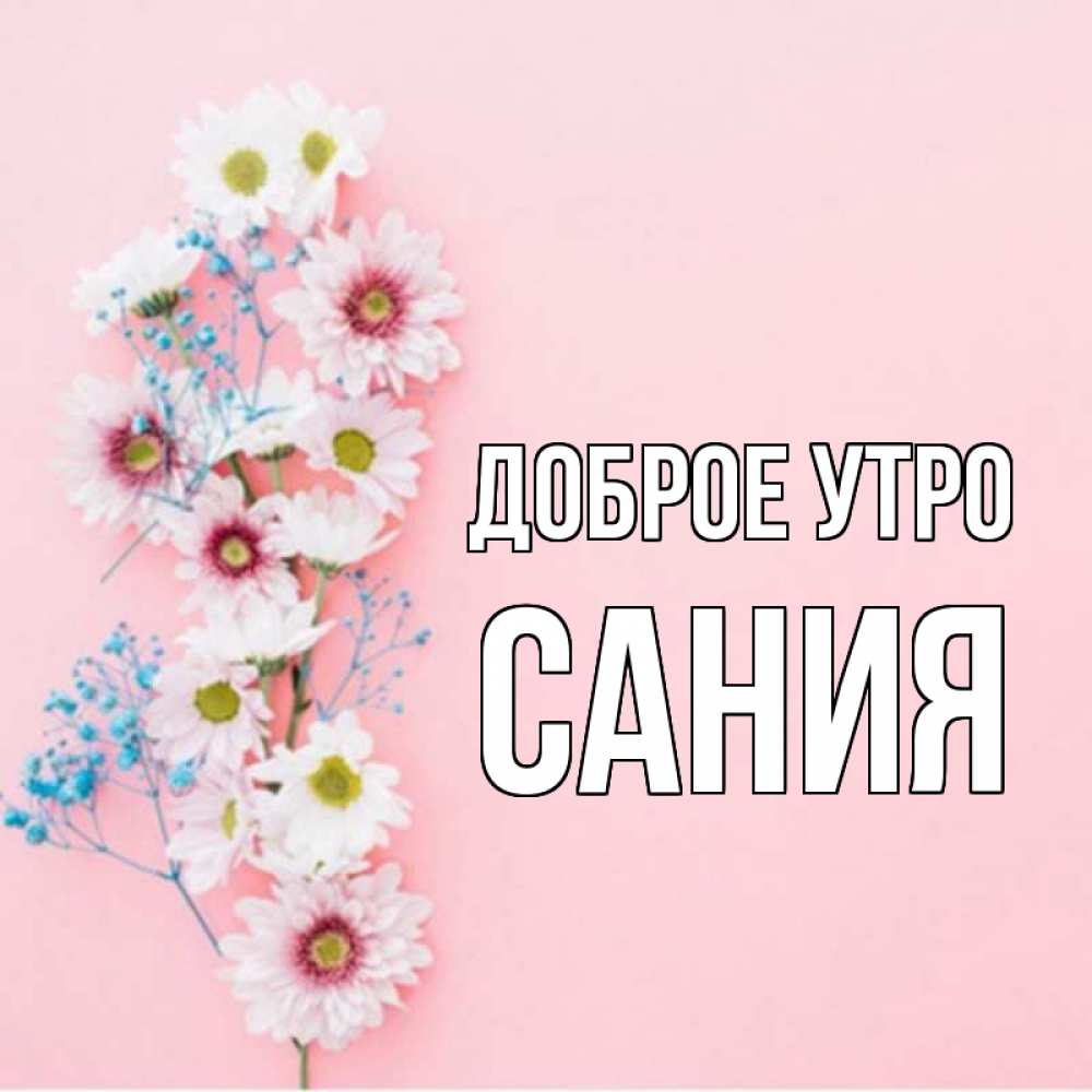 Открытка на каждый день с именем, Сания Доброе утро цветы с подписью Прикольная открытка с пожеланием онлайн скачать бесплатно 