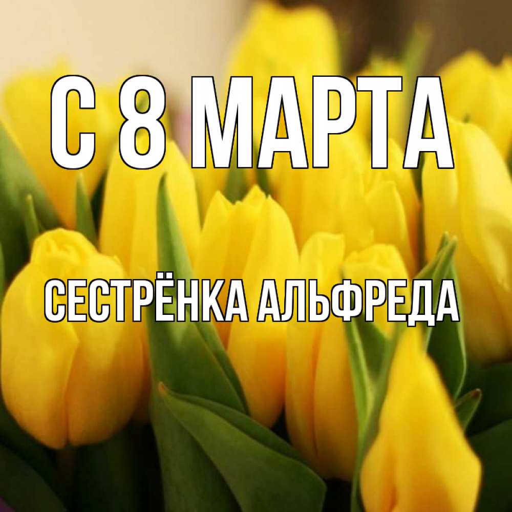 Открытка на каждый день с именем, Сестрёнка-Альфреда С 8 МАРТА цветы Прикольная открытка с пожеланием онлайн скачать бесплатно 