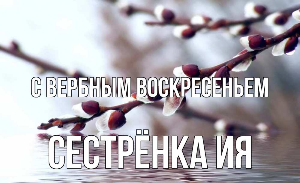 Открытка на каждый день с именем, Сестрёнка-Ия С вербным воскресеньем верба, ручей Прикольная открытка с пожеланием онлайн скачать бесплатно 