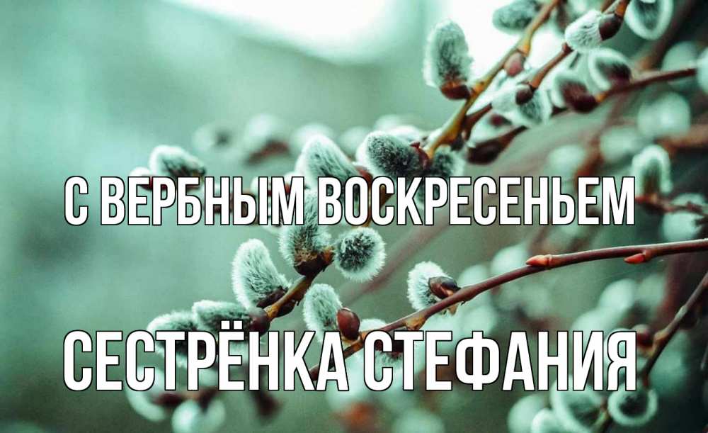 Открытка на каждый день с именем, Сестрёнка-Стефания С вербным воскресеньем верба Прикольная открытка с пожеланием онлайн скачать бесплатно 