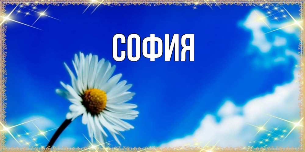 Открытка на каждый день с именем, София Главная красивая открытка в синих тонах Прикольная открытка с пожеланием онлайн скачать бесплатно 