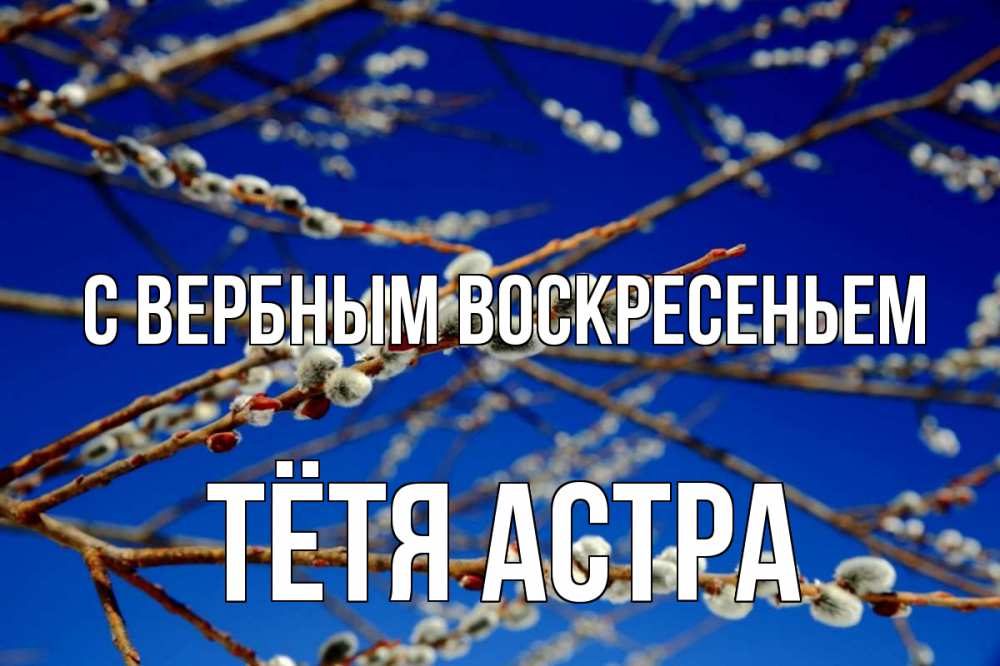Открытка на каждый день с именем, Тётя-Астра С вербным воскресеньем верба Прикольная открытка с пожеланием онлайн скачать бесплатно 
