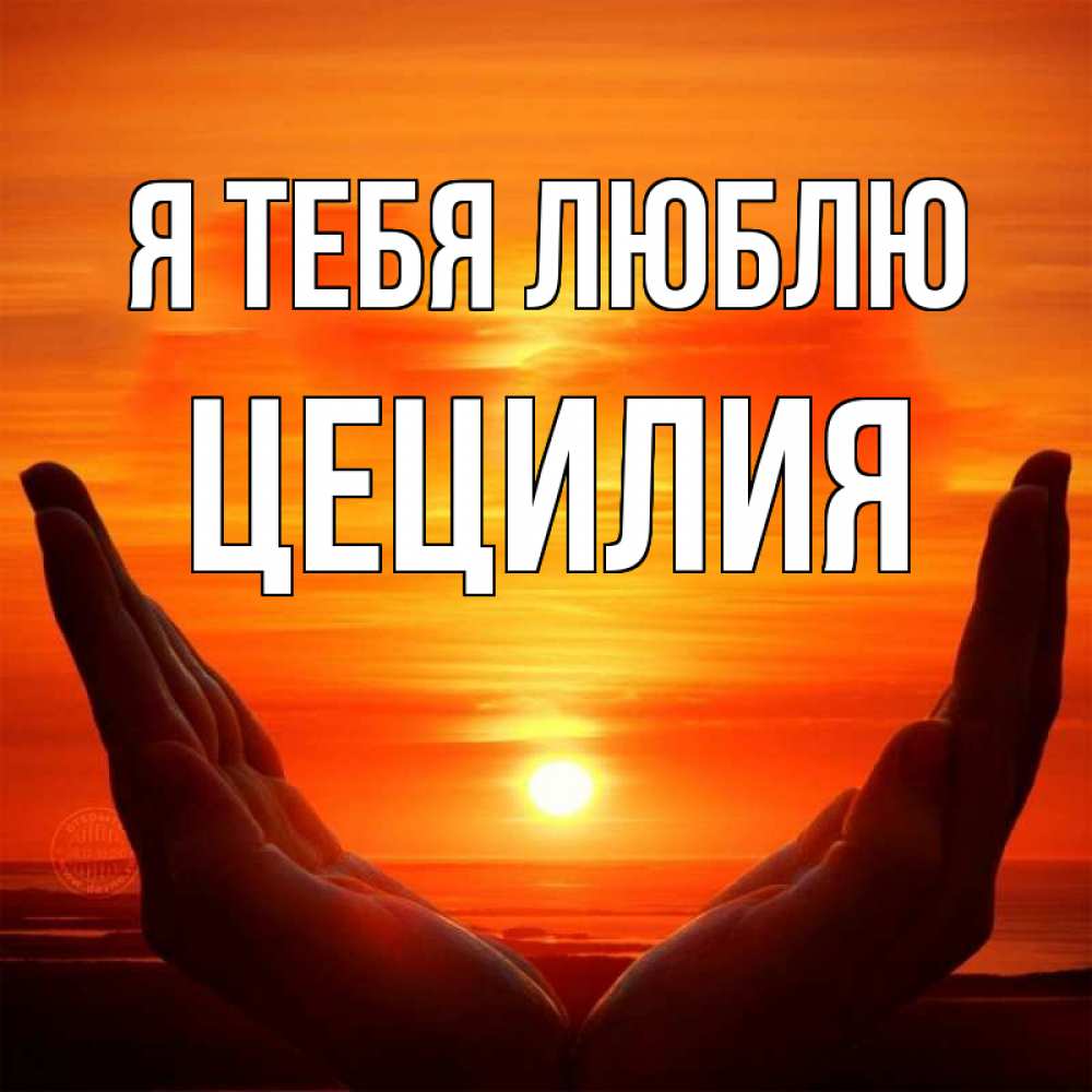 Открытка на каждый день с именем, Цецилия Я тебя люблю в руках Прикольная открытка с пожеланием онлайн скачать бесплатно 