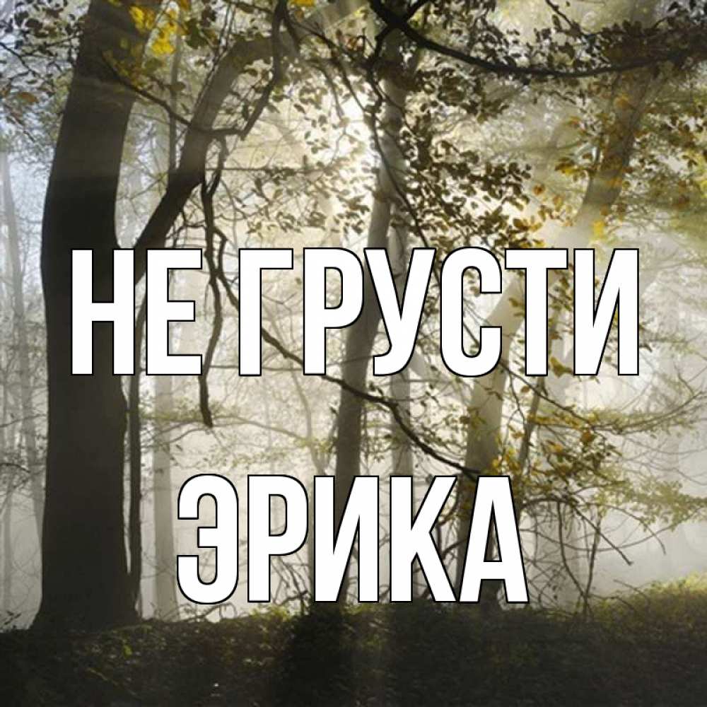 Открытка на каждый день с именем, Эрика Не грусти лес и свет Прикольная открытка с пожеланием онлайн скачать бесплатно 